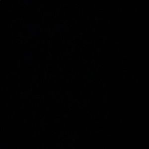 Meet your Posher, Bella